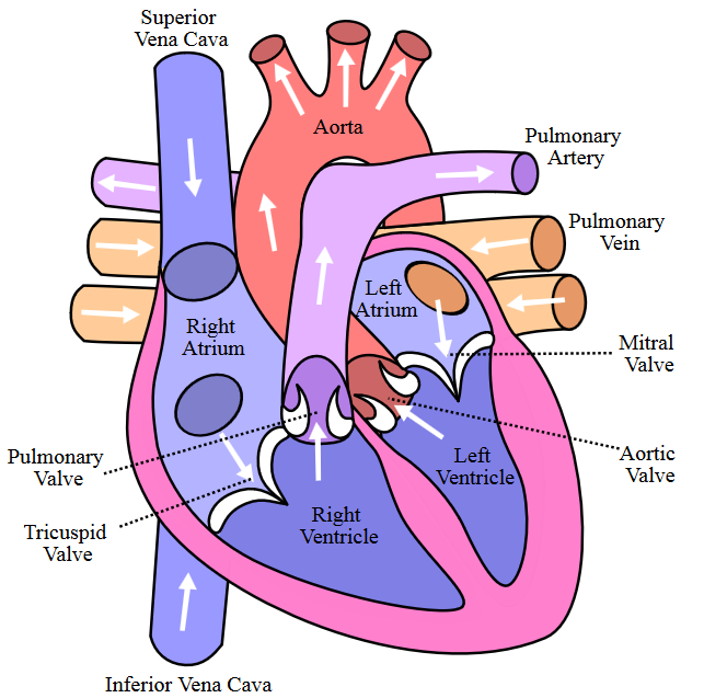 http://1.bp.blogspot.com/-1gFogG_fuOk/VIU3VGi8EFI/AAAAAAAACzk/yU0nmFmx35Q/s1600/image001.png