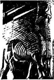 D:\0 wd yedek\acr yedek\1 film indirme\encyclopedia_symbols_roshal\encylopedia_files\000125.jpg