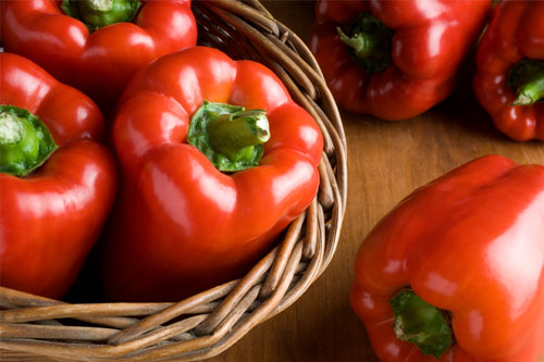 Can Dogs Eat Red Peppers? Everything You Need To Know