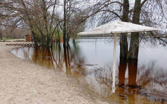 Вода у парку