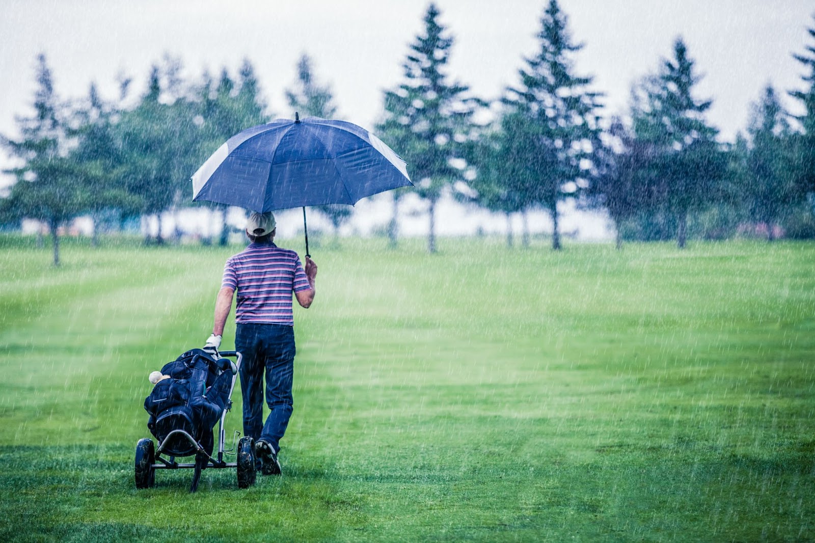 Golfer walking in the rain