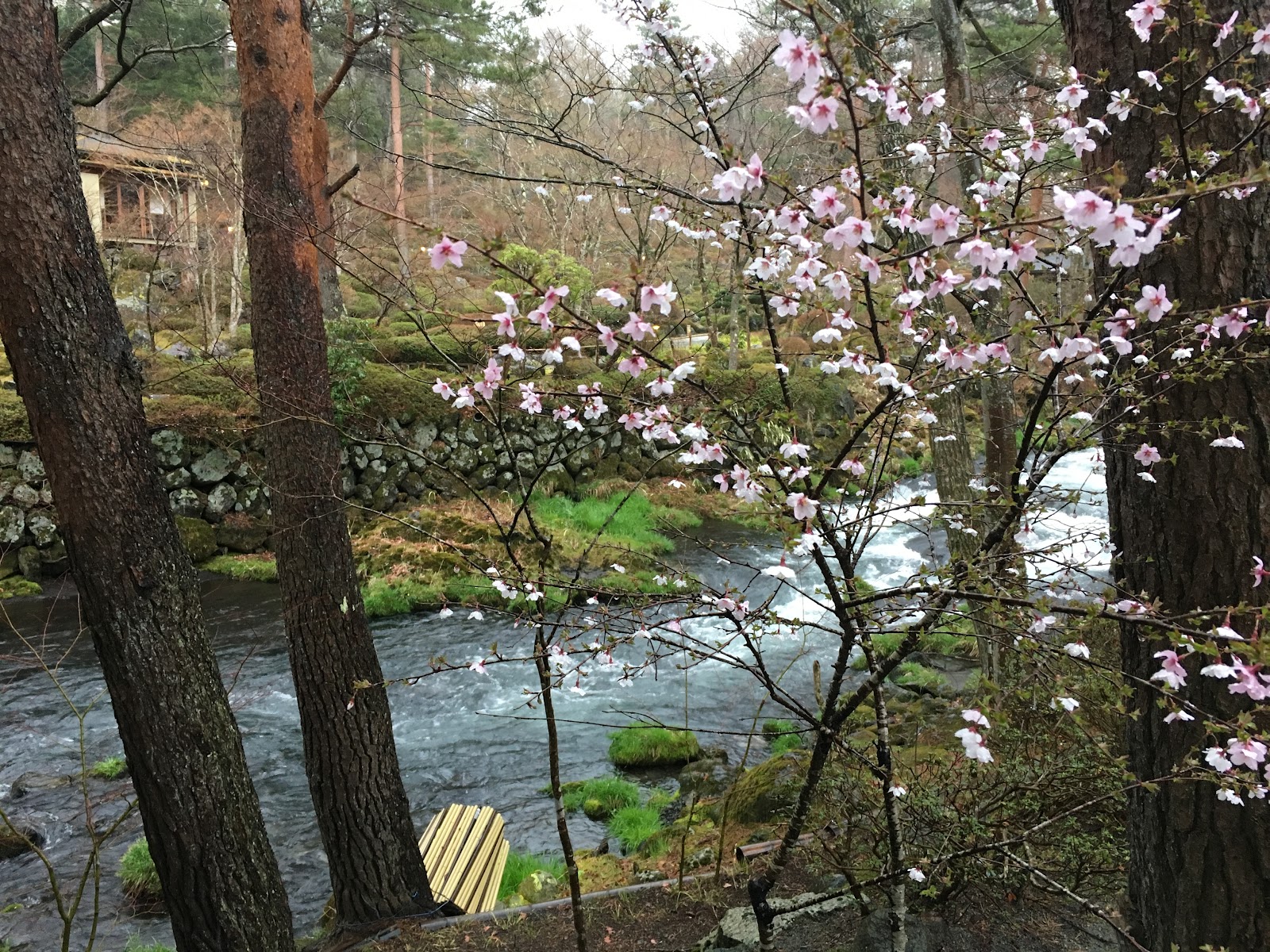 Travelgoal 偽 豪遊 日本 富士篇 河口湖附近吉田市溫泉酒店推介