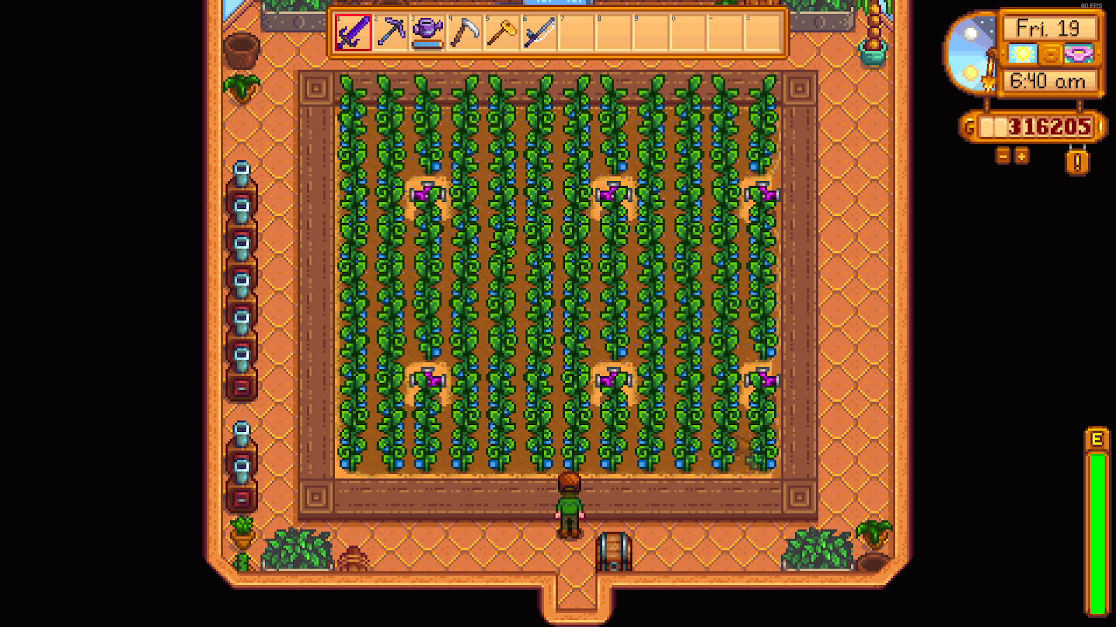 ancient fruit to make wine in stardew valley