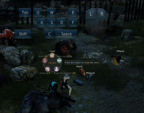 o Black Desert Kunoichi Class Guide
