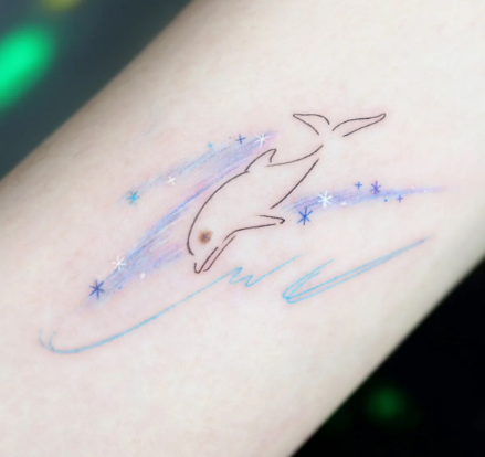  Little Dolphin 