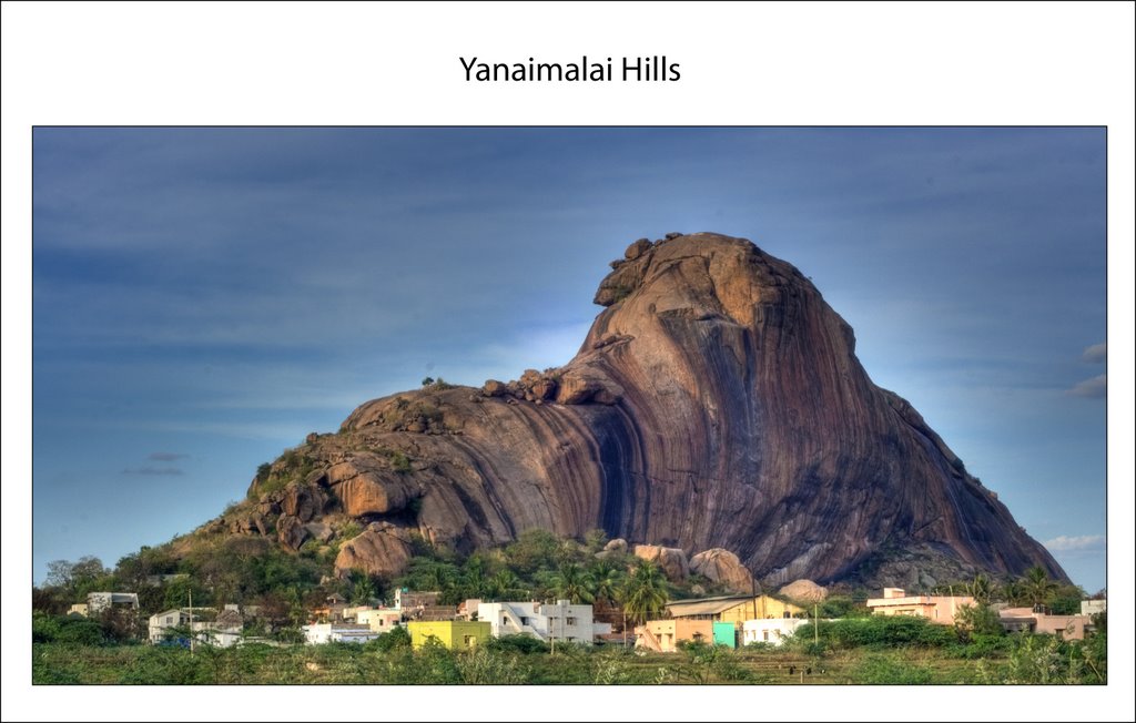 Yanaimalai Hills