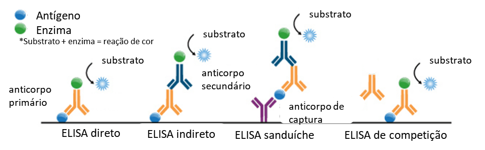 Ilustração de cada um dos tipos de ELISA citados