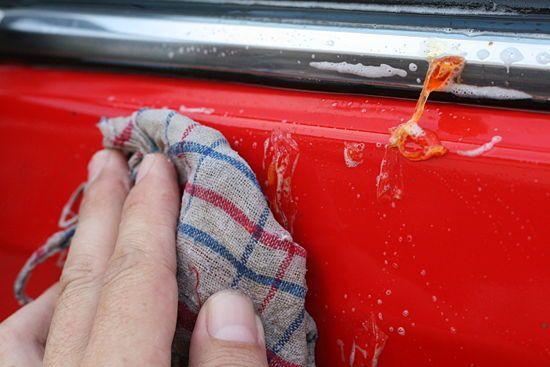 How To Remove Tree Sap From Your Vehicle