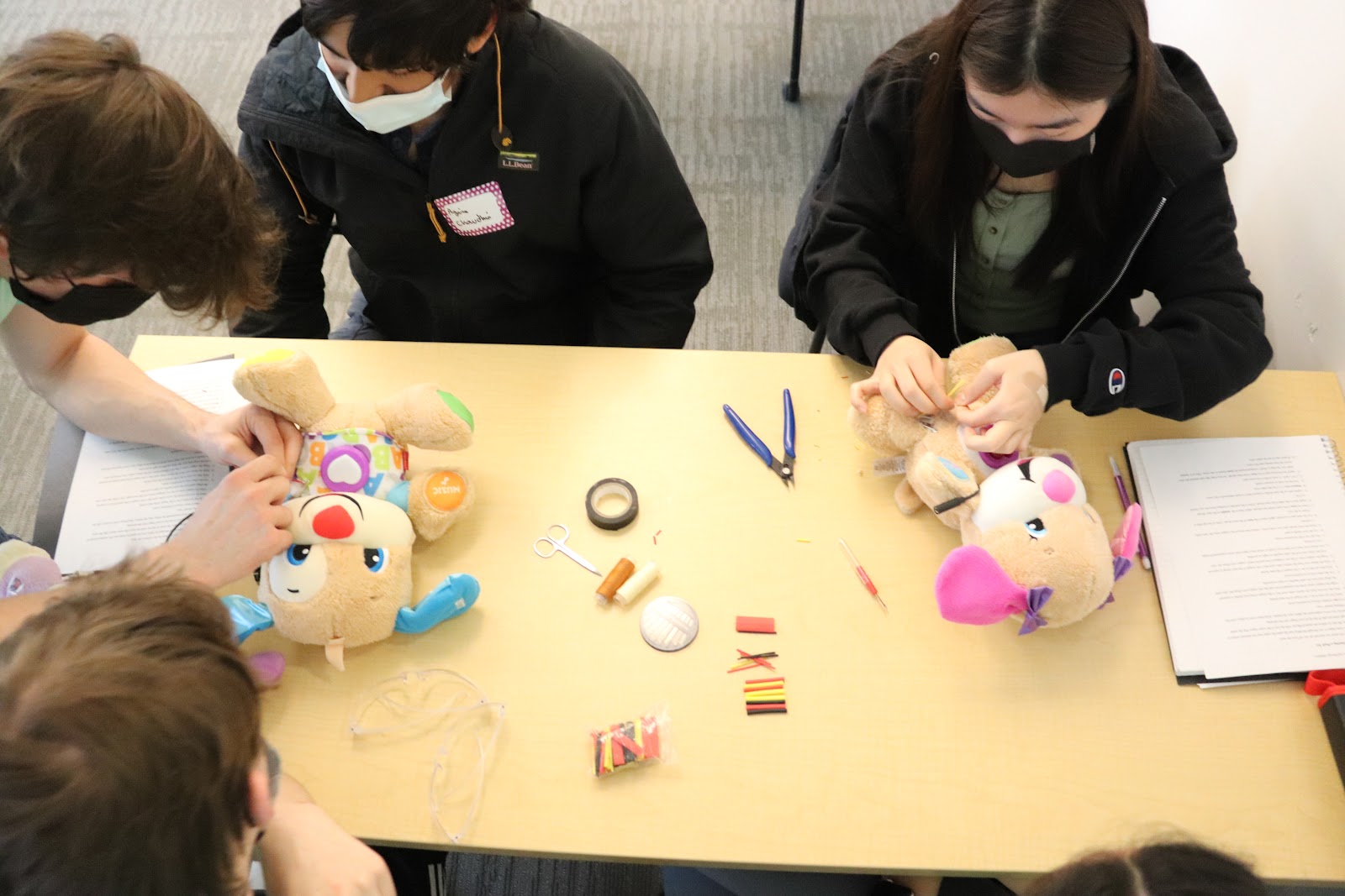 Disection of a toy