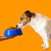 The Best Dry Puppy Foods