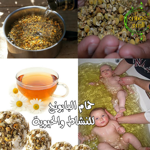 حمام البابونج للنشاط والحيوية و القضاء على نزلات البرد FHEN8evaeY9BzI0pso2zTnGKeTMttPq-yusVfEBgBq8JET3i-pqIU957Jx1rYGuLiYPMDx4alEDoIn5EAxcN742k_A=s512