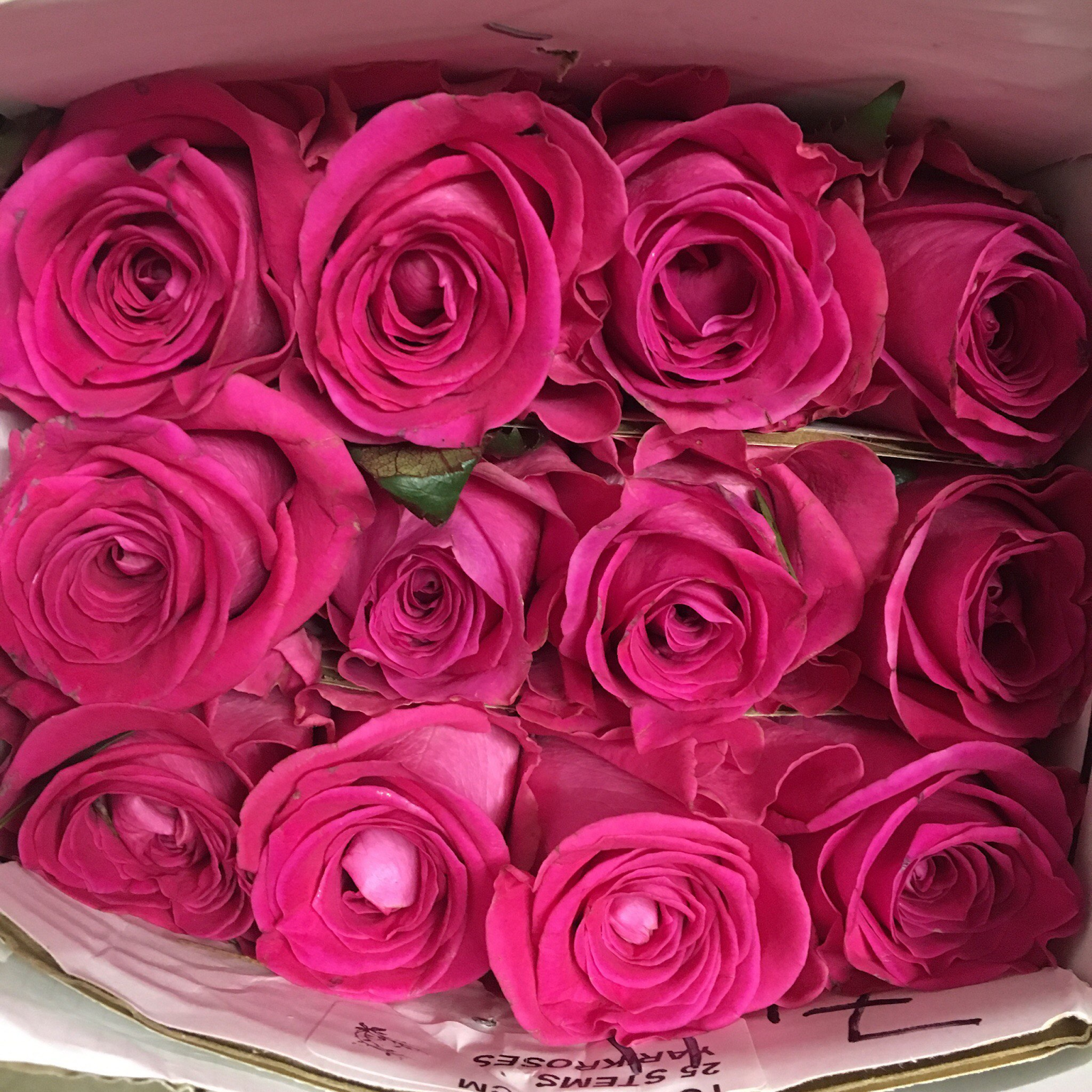 Разные цвета роз в букете букеты с лавандой