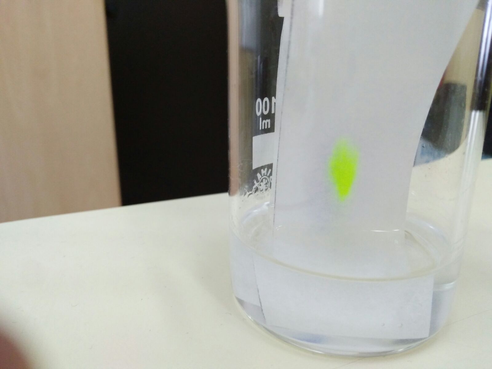 IMG-20170513-WA0013.jpg