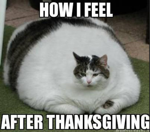 Funny Thanksgiving Meme