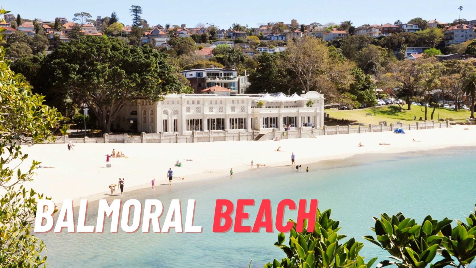 Balmoral Beach is The Best Beach To Collect Shells In Sydney