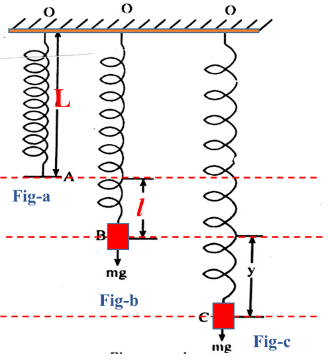 Simple Harmonic Motion (SHM) Numericals Class 12