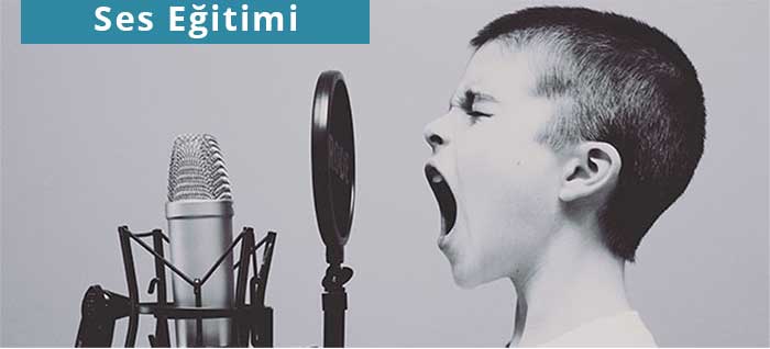 ses egitimi nedir nasil yapilir ozel ders alani