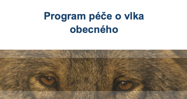 Program péče o vlka obecného
