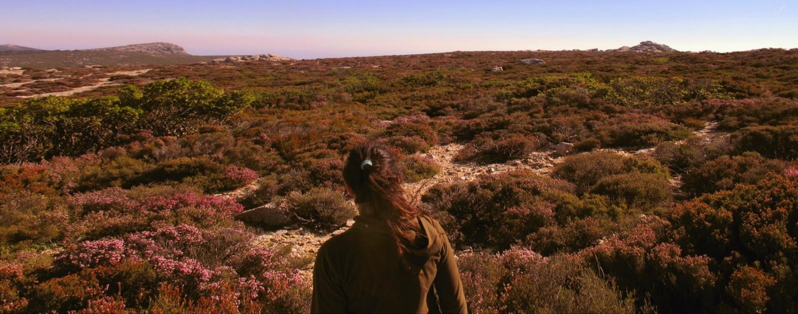 Project: 'To Spitaki tis Mamis', mountain refuge and protected green area in Ammoudia plateau, on mt. Atheras, Ikaria island, Greece