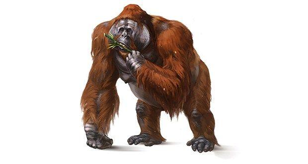 9. Gigantopithecus