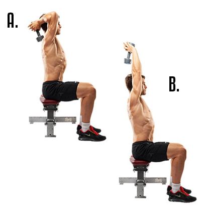 The Triceps Extension The Triceps Extension