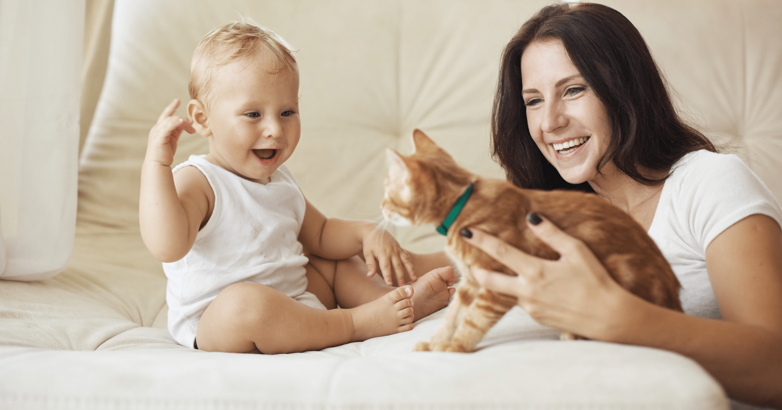 new baby and cat on bed with lady