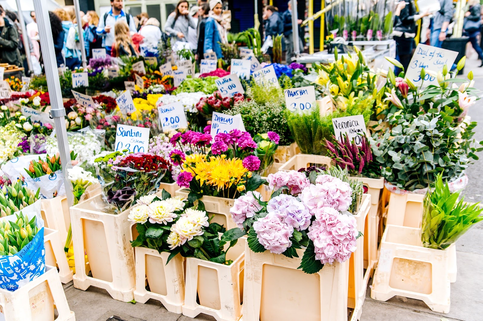 Valentine's Day flower market 