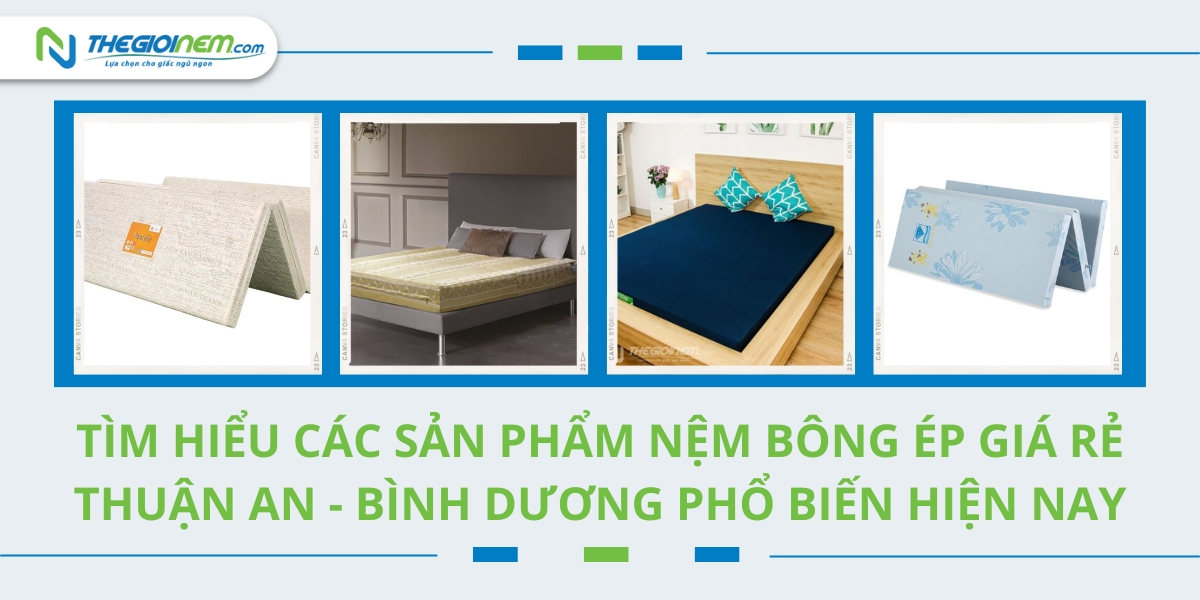 Đại lý bán nệm bông ép giá rẻ Thuận An - Bình Dương