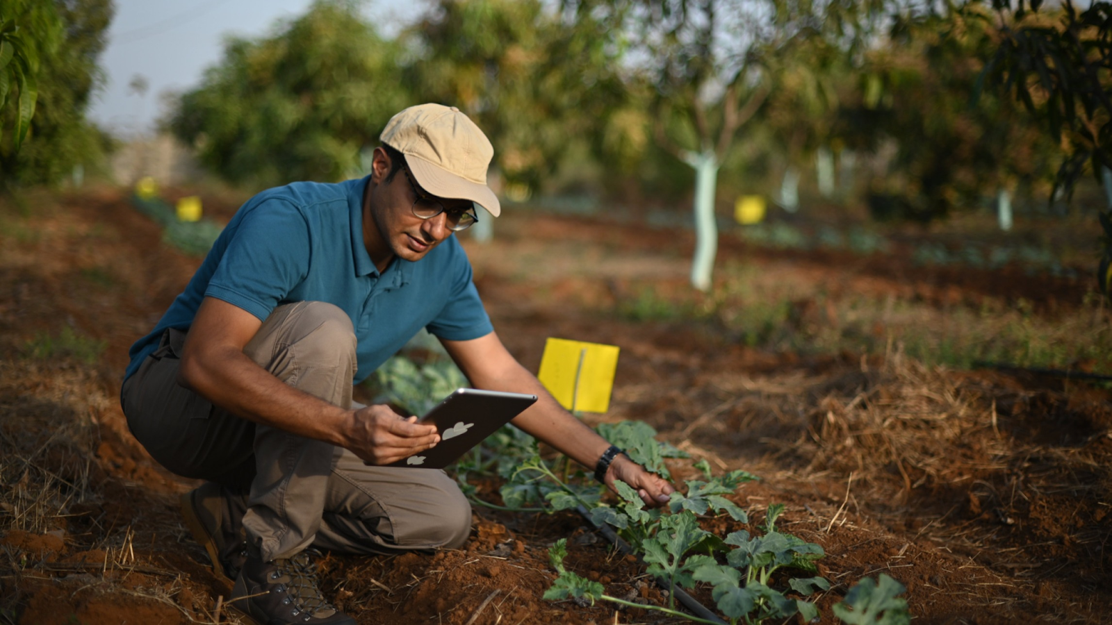 Benefits of Eco-Farming