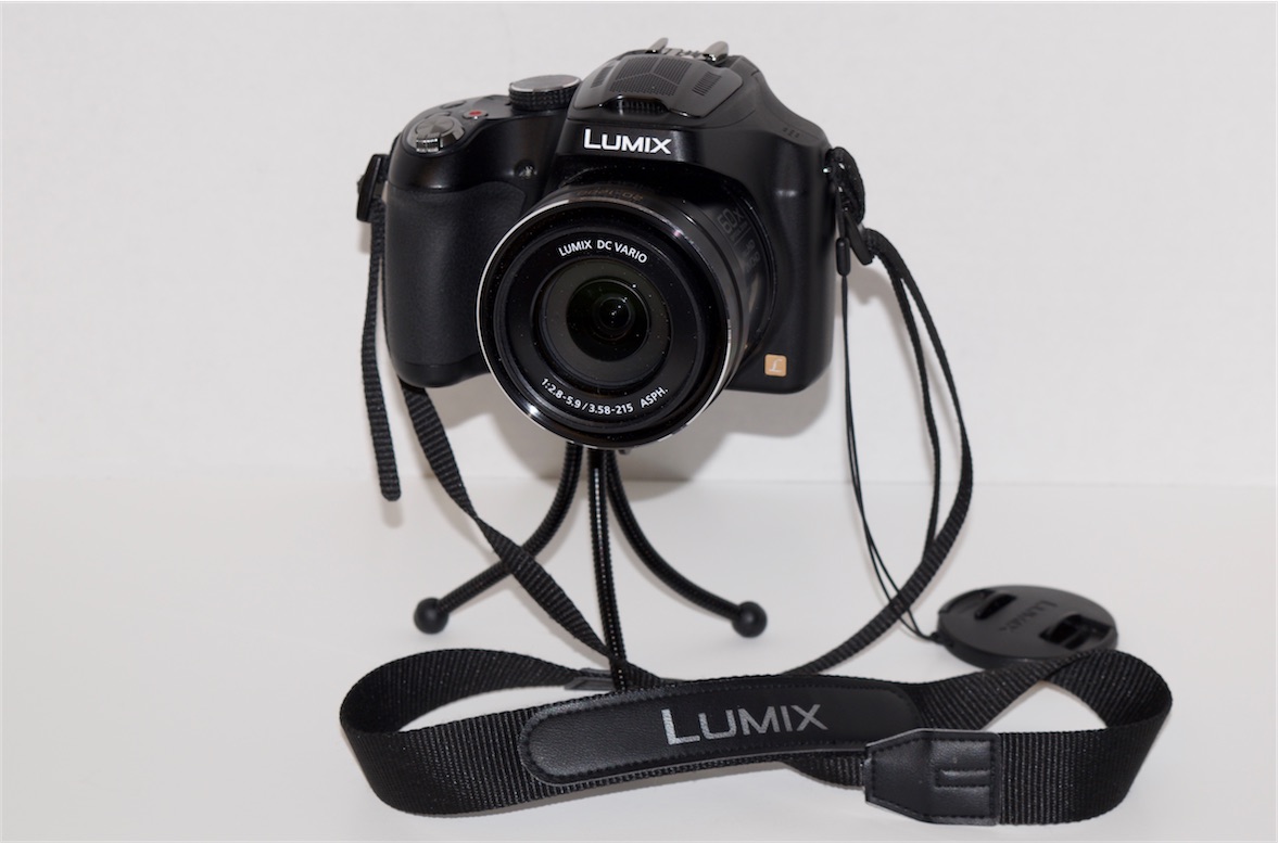 D330 pic of Lumix E.jpg