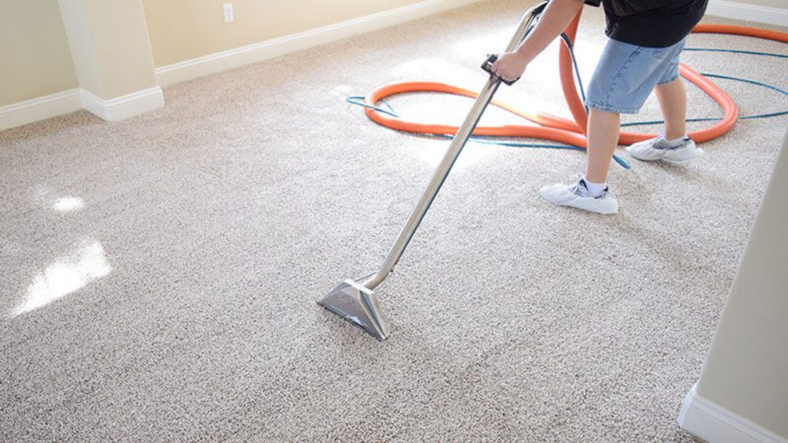 05 Best Carpet Cleaning Tricks With Pennsauken Carpet Cleaning Services