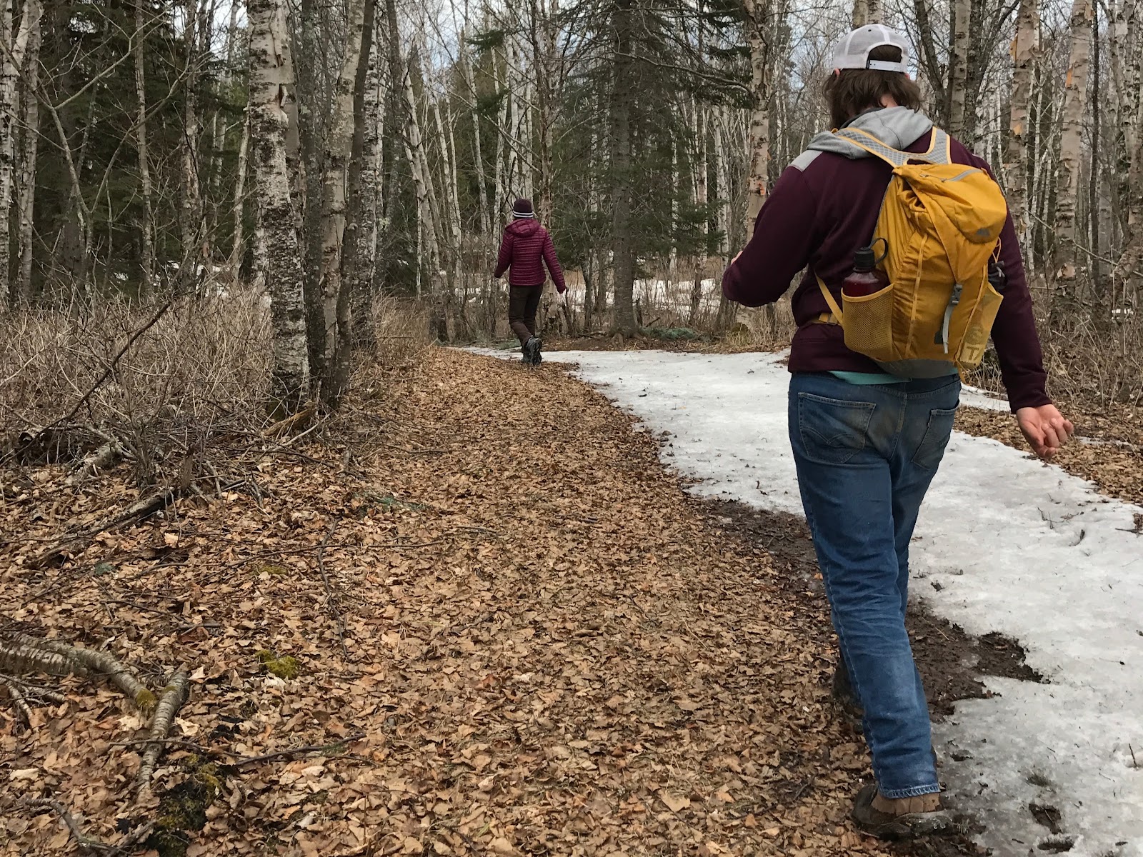 Enjoying a Springtime Wilderness Walk 