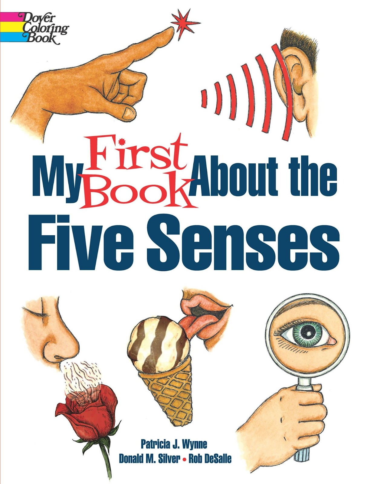 My first book about the five senses