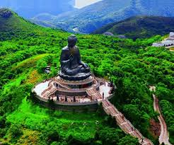 Image result for tian tan buddha at night