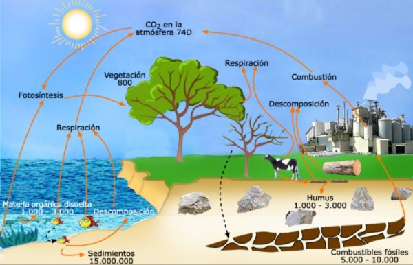 contaminacion-atmosferica-contaminacion-co2