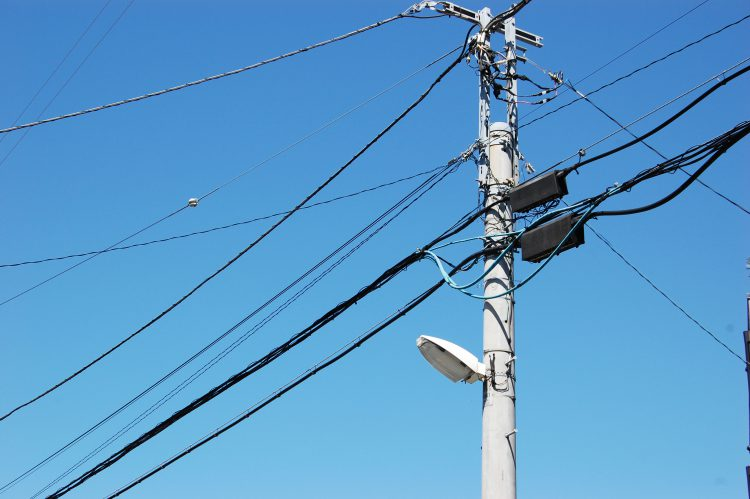電線の糞害被害対策