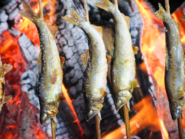 BBQで天然鮎を塩焼きにする方法