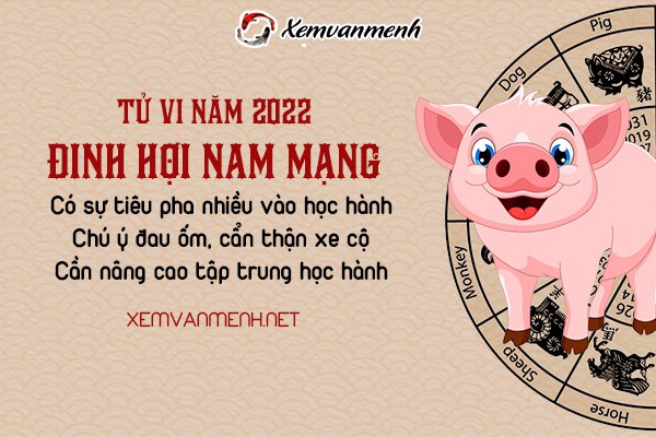 tu-vi-tuoi-dinh-hoi-nam-2022-nam-mang-2007