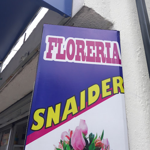 Opiniones de Floreria Snaider en Quito - Floristería