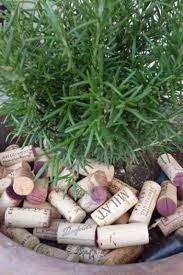 Great Ways to Use Recycled Wine Corks in the Garden ~ Bless My Weeds