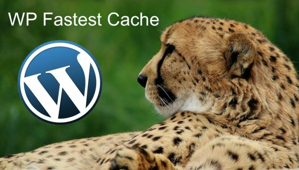 Top five WordPress cache plugins 2