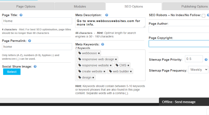 SEO Options.png