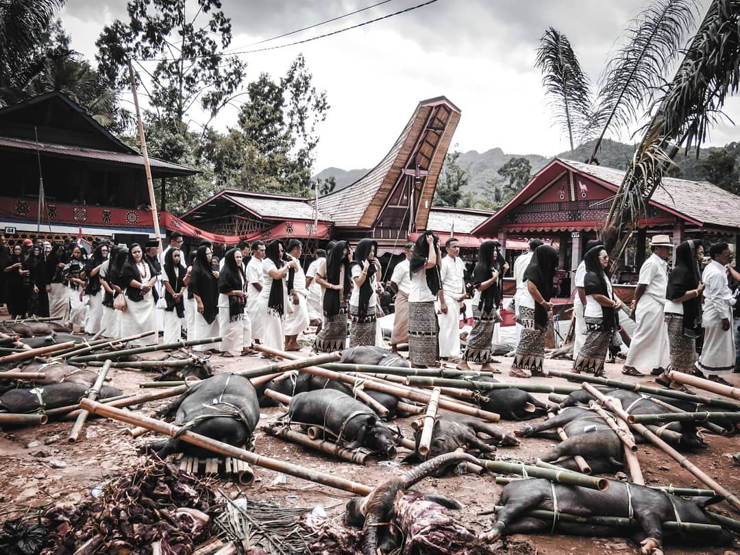 Upacara suku toraja