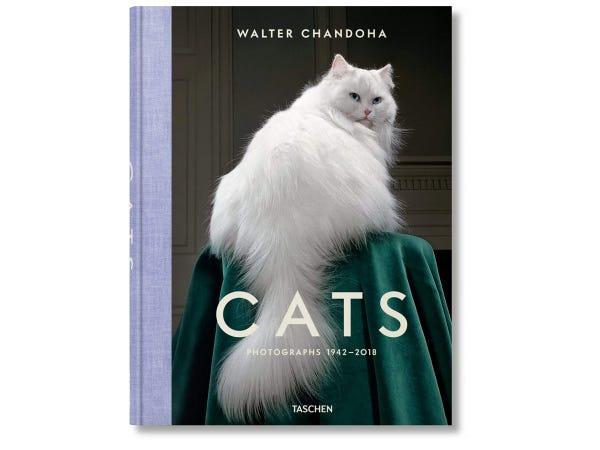 book cover with white long-haired cat and text that reads Cats, Photographs 1942-2018 by Walter Chandoha
