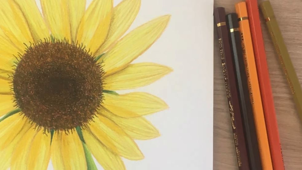 What Is The Difference Between Watercolor Pencils, Markers & Sticks 