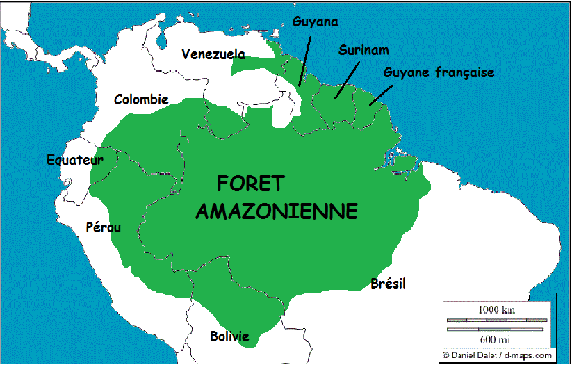 https://www.mondialisation.ca/wp-content/uploads/2019/09/carte-foret-amazonie.png