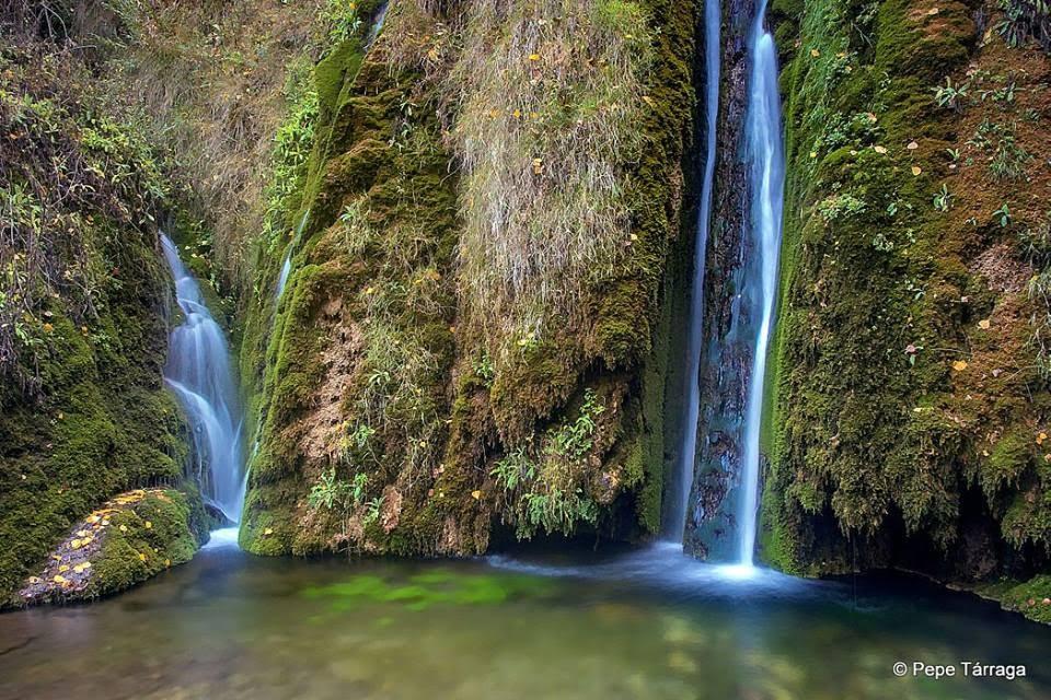 La imagen puede contener: Ã¡rbol, exterior, naturaleza y agua