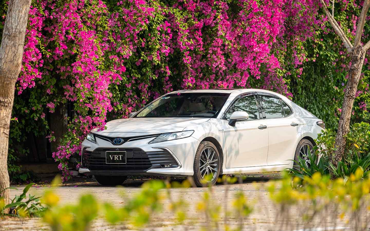 toyota camry hybrid remains a popular choice in the uae