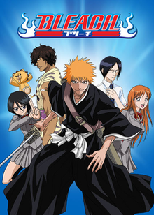 15 Best Anime for Beginners to Add in Watch List - Bleach