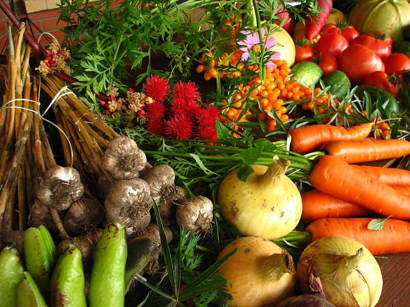 How to be self sufficient - selection of colourful vegetables